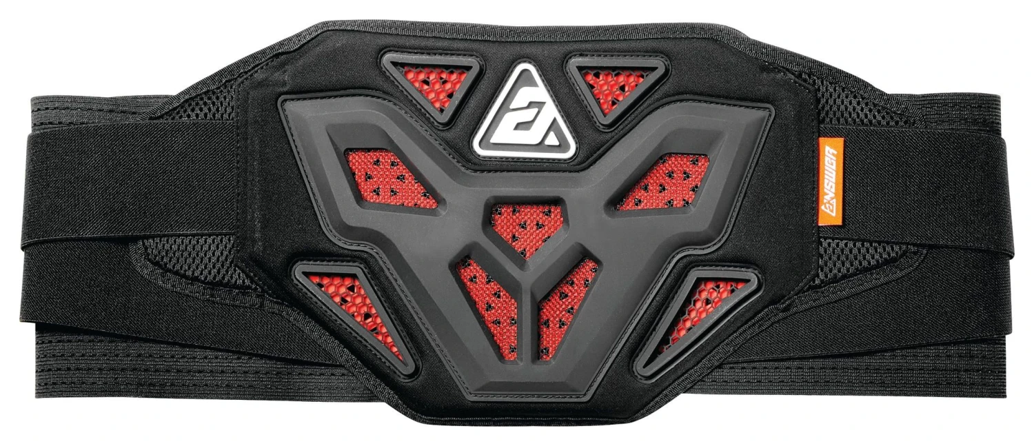 Answer Apex Kidney Belt 3 Answer Apex Kidney Belt