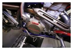 CV4 Temperature Strips -Puig Shop cv4 temp strips3 pk 1