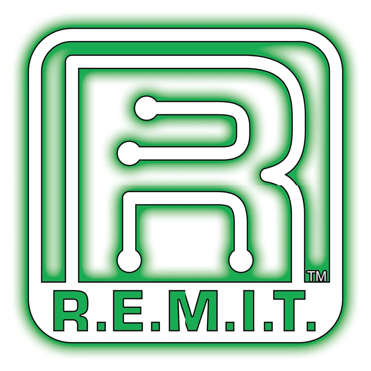 Wild Boar By Hogtunes 400-Watt 2-Channel Amp For Harley Touring 2014-2023 4 Wild Boar By Hogtunes 400-Watt 2-Channel Amp For Harley Touring 2014-2023 - Image 2