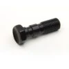Spiegler Anodized Aluminum Double Banjo Bolt